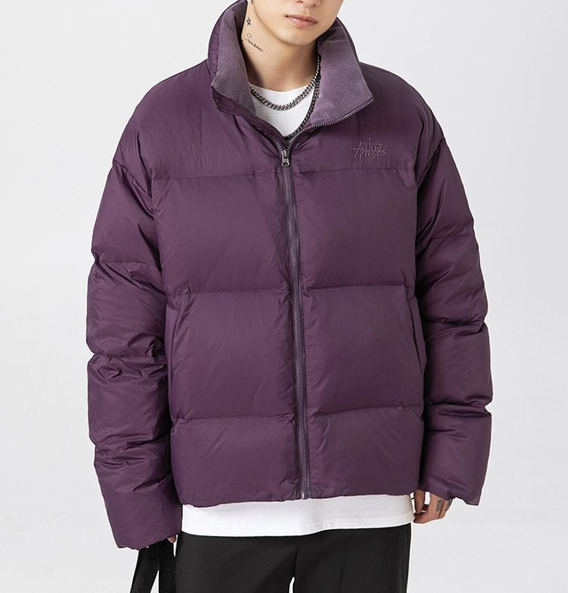 Men's Short Stand-collar Down Jacket