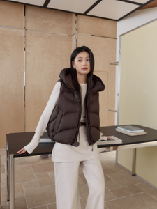 High-End/Out door wear/ Puff Down Jacket /Water proof/ Trench coat/Lady's vest