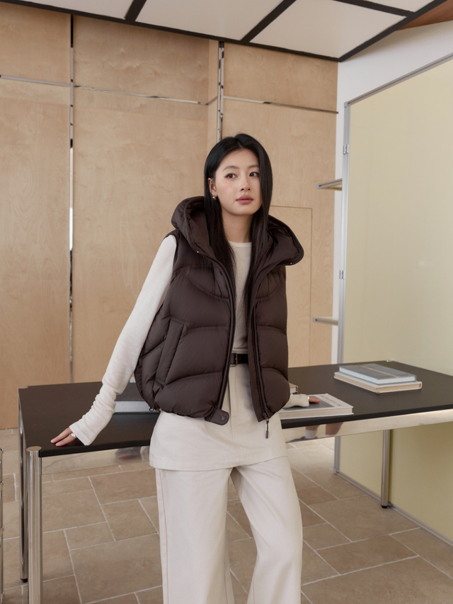 High-End/Out door wear/ Puff Down Jacket /Water proof/ Trench coat/Lady's vest